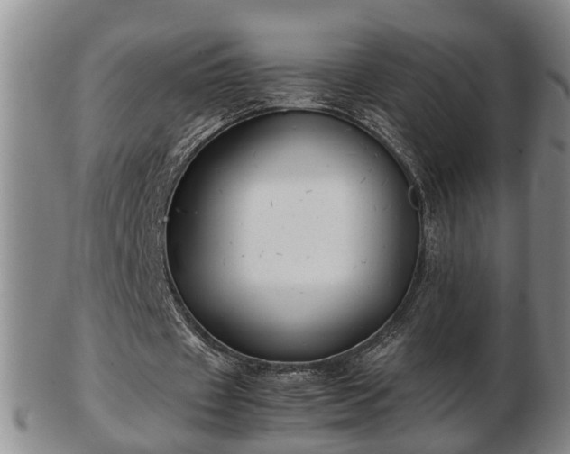 X0000103220433200809041006