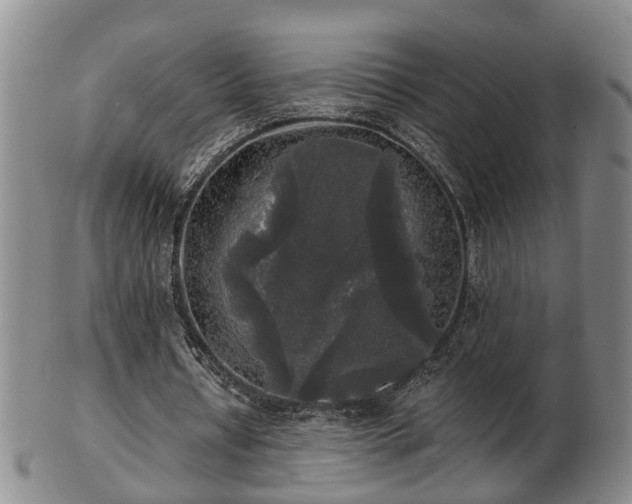 X0000103220434200809041006