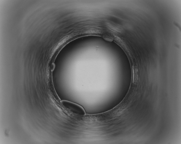 X0000103220435200809041006