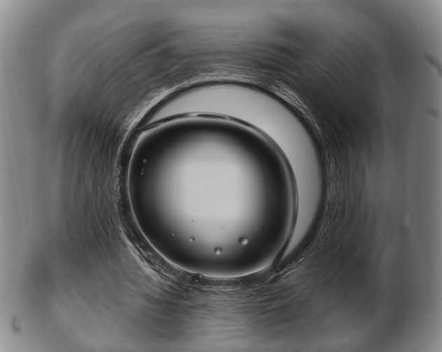 X0000103220436200809041006