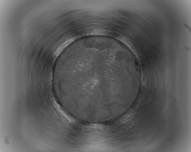 X0000103220437200809041006