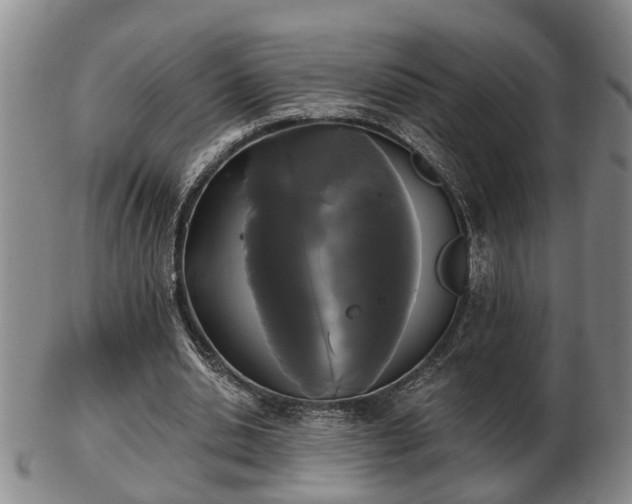 X0000103220438200809041006