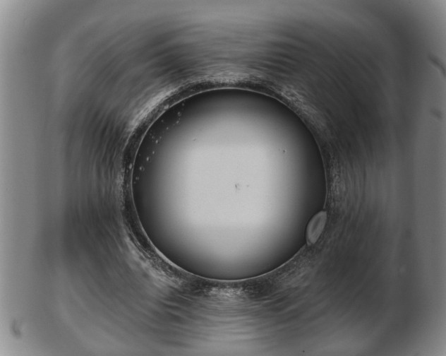 X0000103220440200809041006