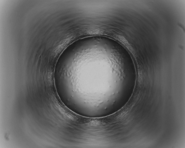 X0000103220441200809041006