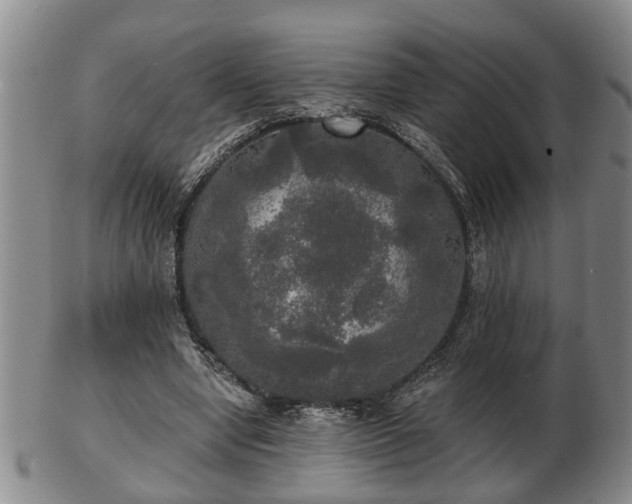 X0000103220442200809041006