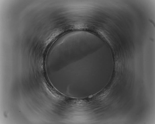 X0000103220443200809041006