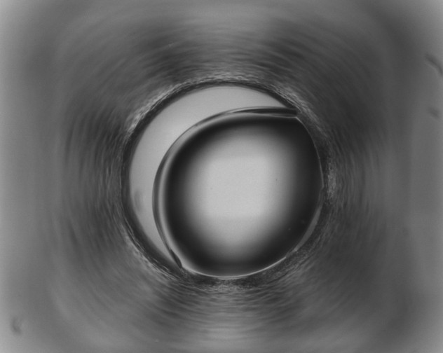 X0000103220444200809041006