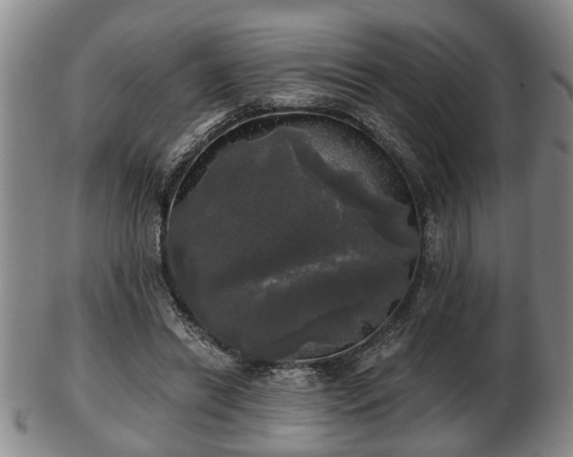 X0000103220446200809041006