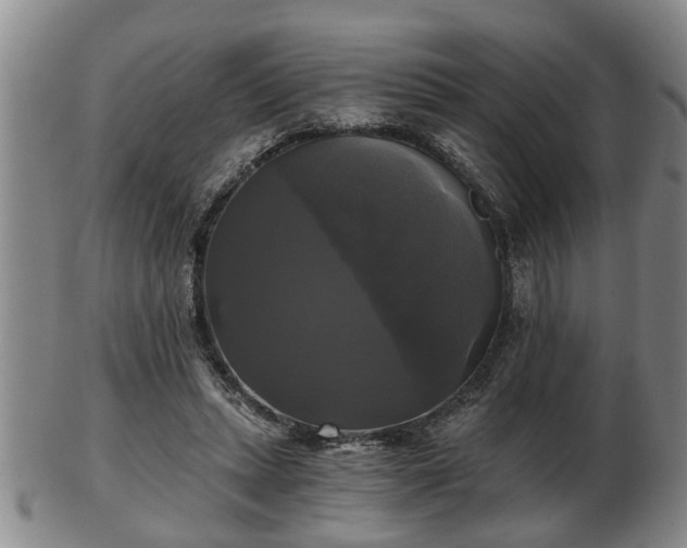 X0000103220447200809041006