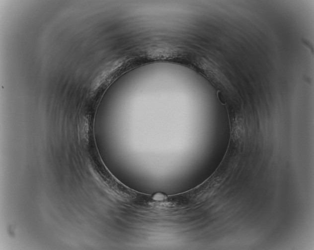 X0000103220448200809041006