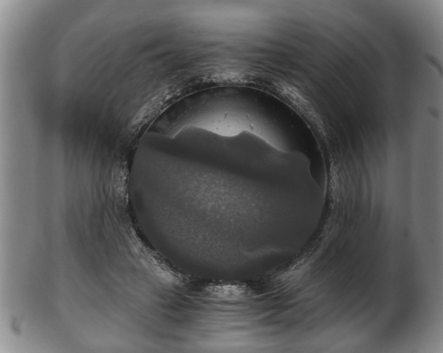 X0000103220449200809041006