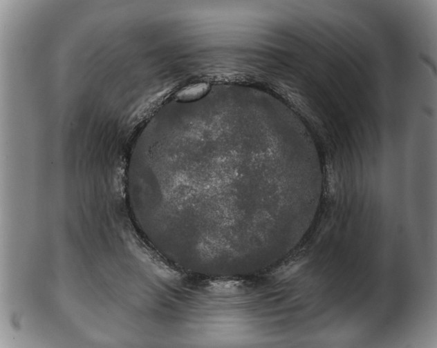 X0000103220450200809041006