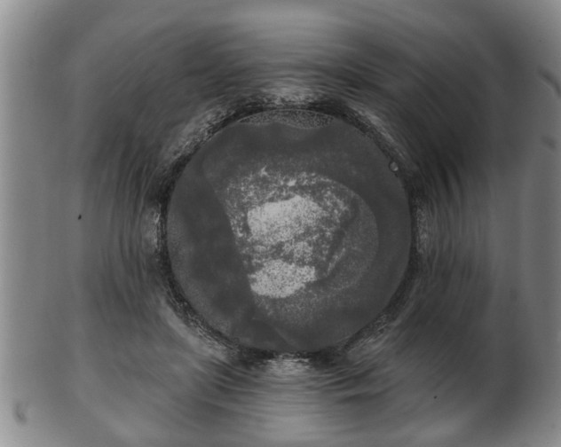 X0000103220451200809041006