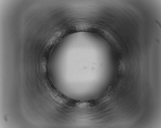 X0000103220452200809041006