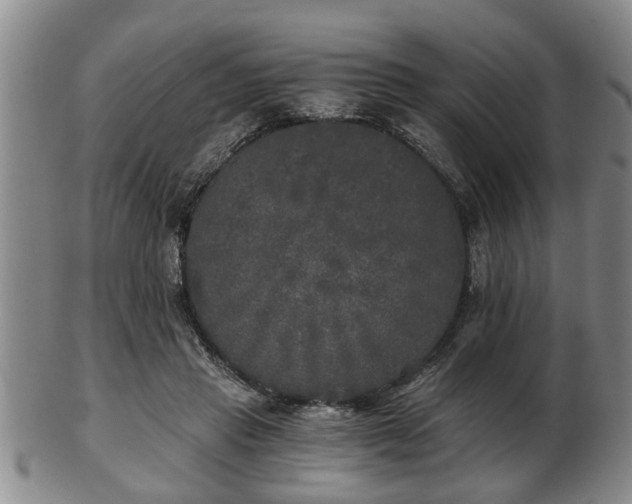 X0000103220453200809041006