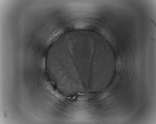 X0000103220454200809041006