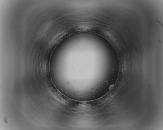 X0000103220455200809041006