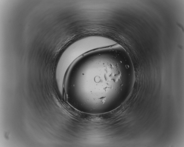 X0000103220456200809041006