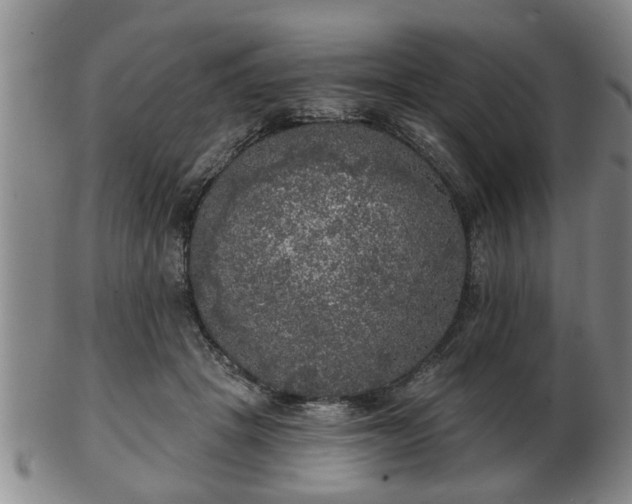 X0000103220457200809041006