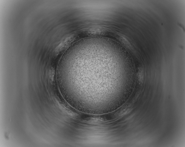 X0000103220458200809041006