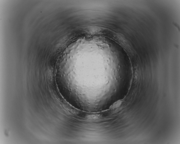 X0000103220461200809041006