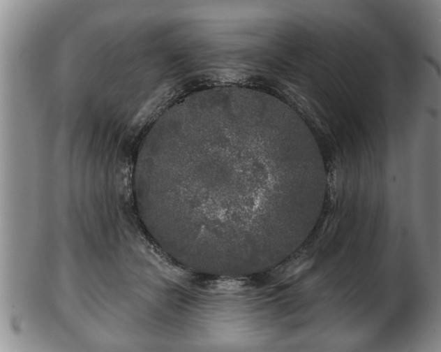 X0000103220462200809041006