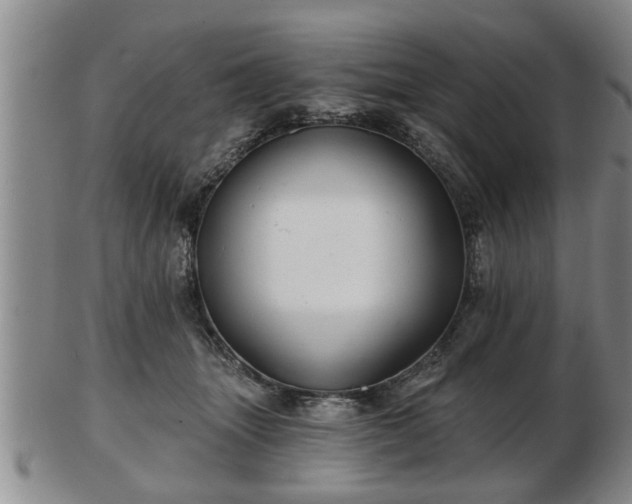 X0000103220463200809041006