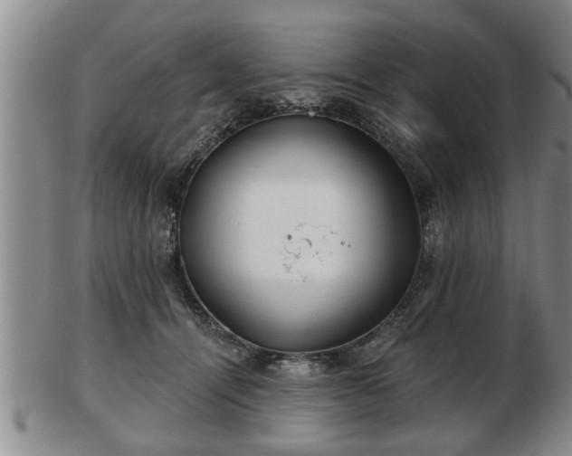 X0000103220464200809041006