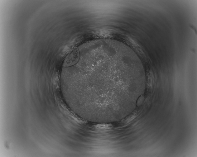 X0000103220465200809041006