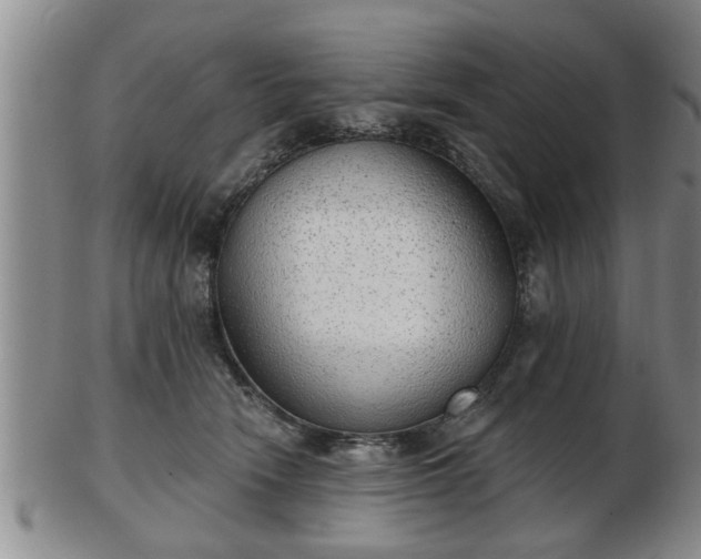 X0000103220466200809041006