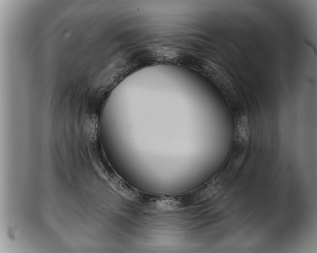 X0000103220468200809041006