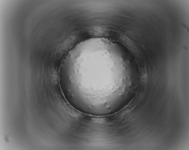 X0000103220469200809041006