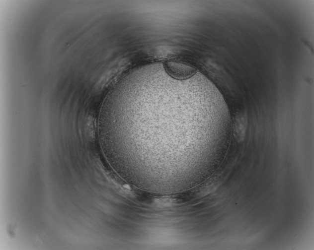 X0000103220470200809041006