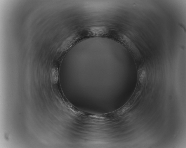 X0000103220471200809041006