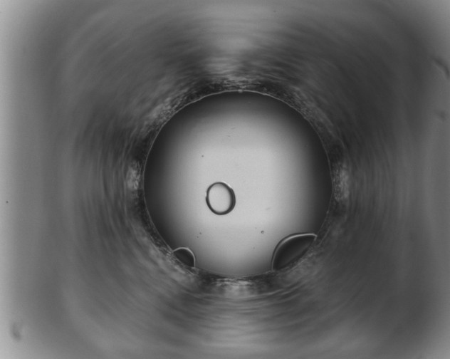 X0000103220472200809041006