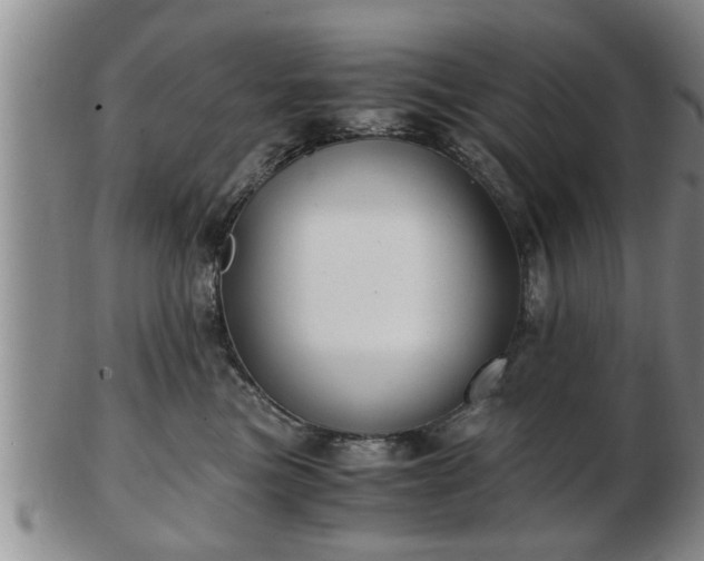 X0000103220473200809041006