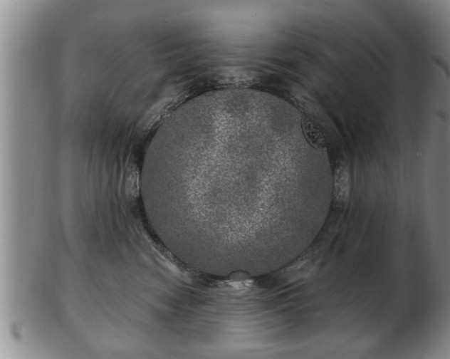 X0000103220474200809041006