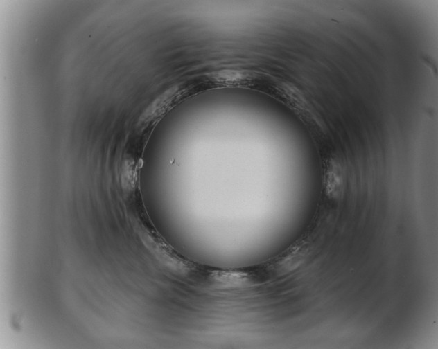 X0000103220476200809041006