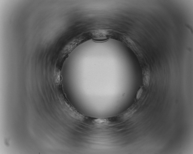 X0000103220477200809041006