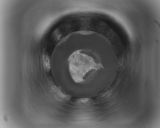 X0000103220479200809041006