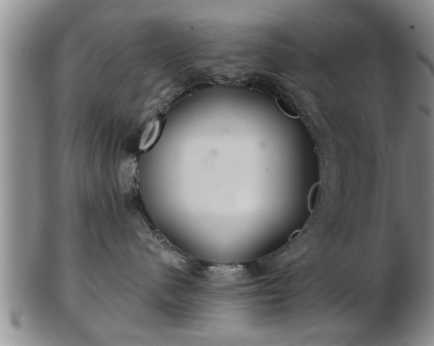 X0000103220480200809041006