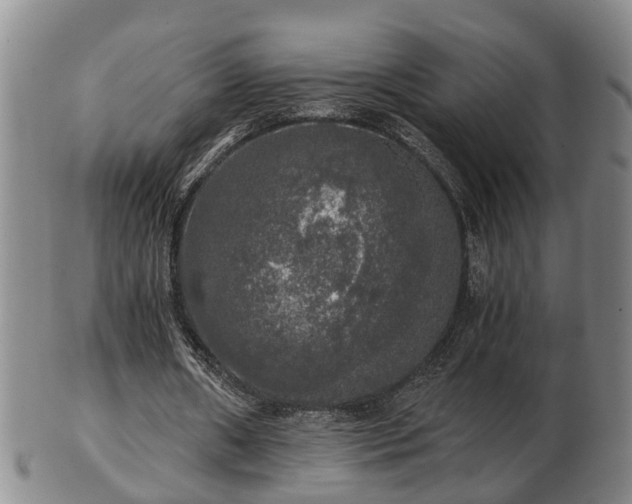 X0000103220482200809041006