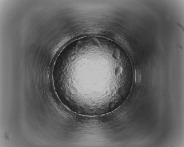 X0000103220483200809041006