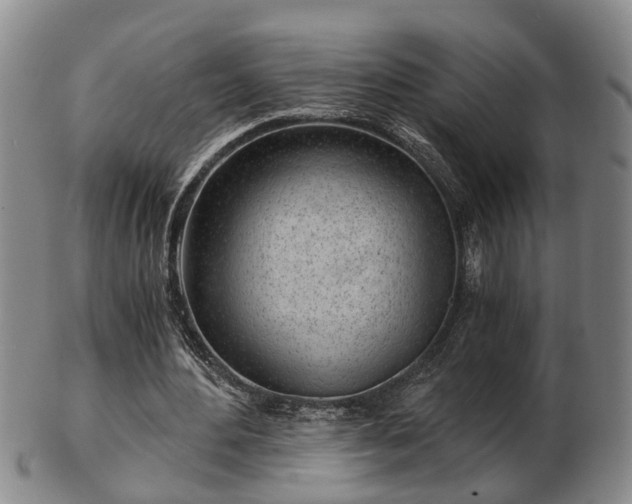 X0000103220484200809041006