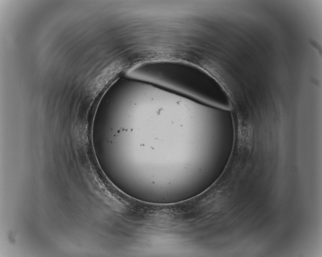 X0000103220485200809041006