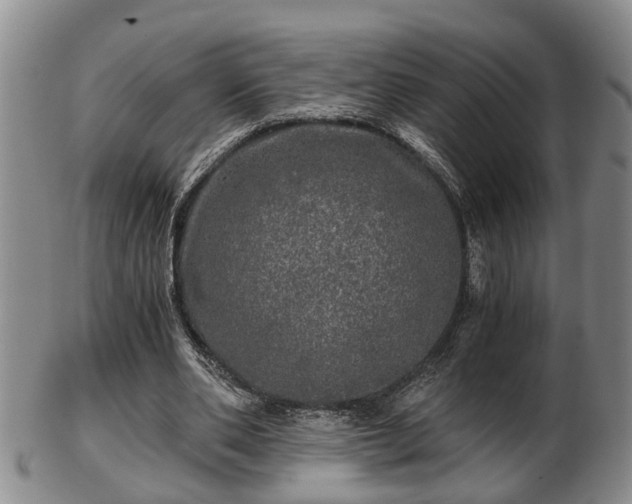 X0000103220486200809041006