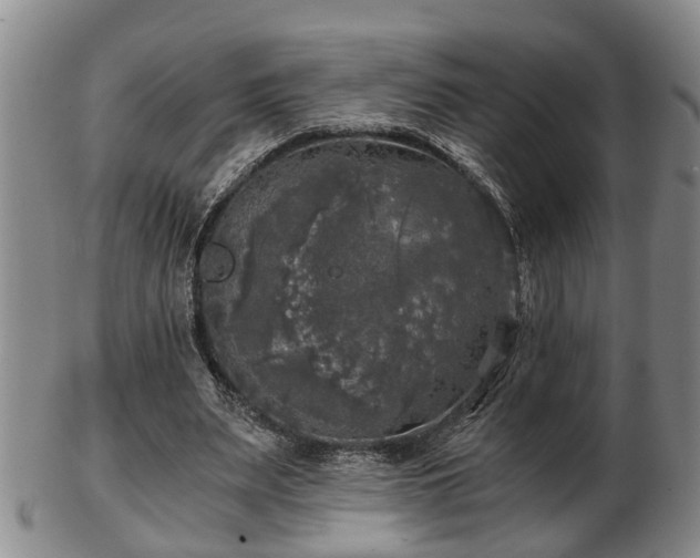 X0000103220487200809041006