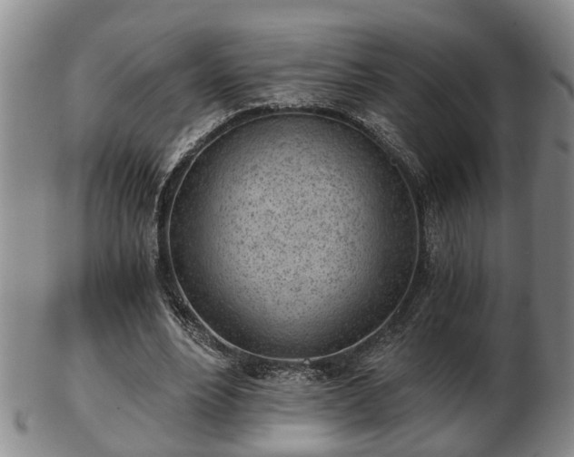 X0000103220488200809041006