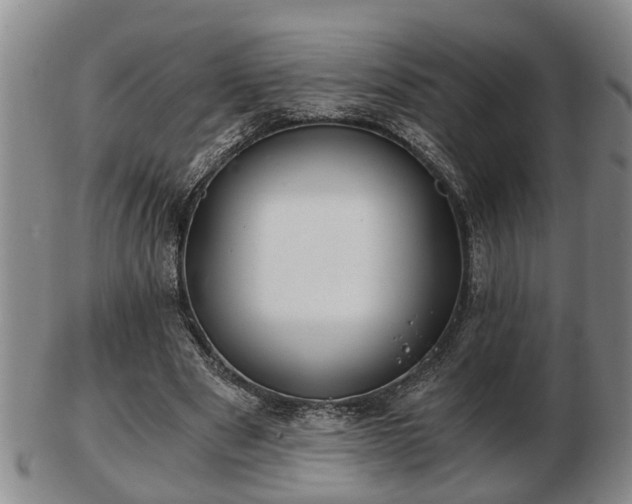 X0000103220489200809041006