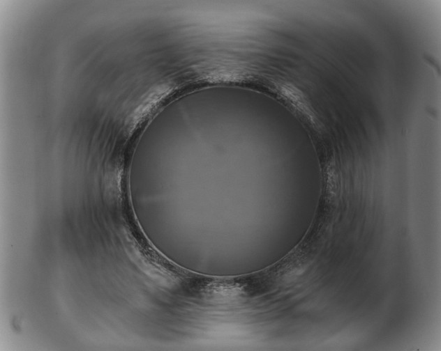 X0000103220491200809041006